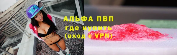 гашик Верея