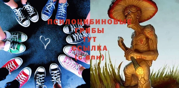 крисы Верхнеуральск