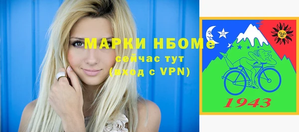 гашик Верея