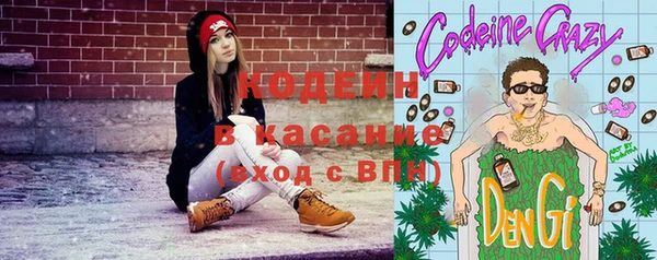 гашик Верея