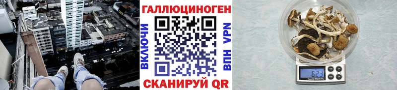 MEGA ONION  Городец  Галлюциногенные грибы Cubensis 